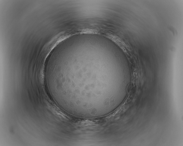 X0000112470290200908311355