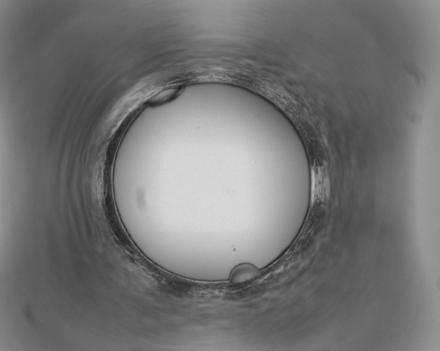 X0000112470291200908311355