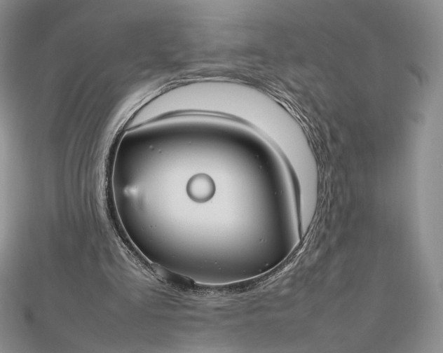 X0000112470293200908311355