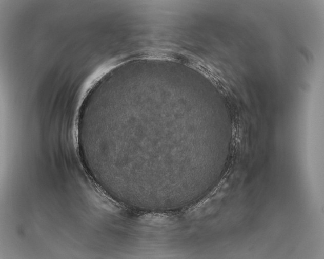 X0000112470294200908311355