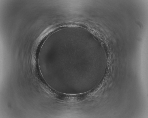 X0000112470295200908311355