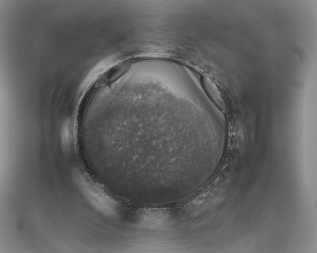 X0000112470296200908311355