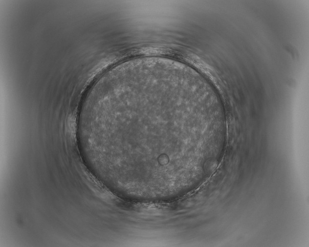 X0000112470297200908311355