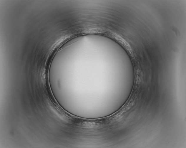 X0000112470298200908311355