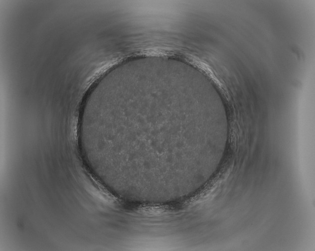 X0000112470299200908311355