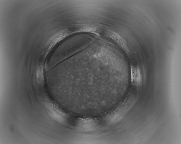 X0000112470300200908311355