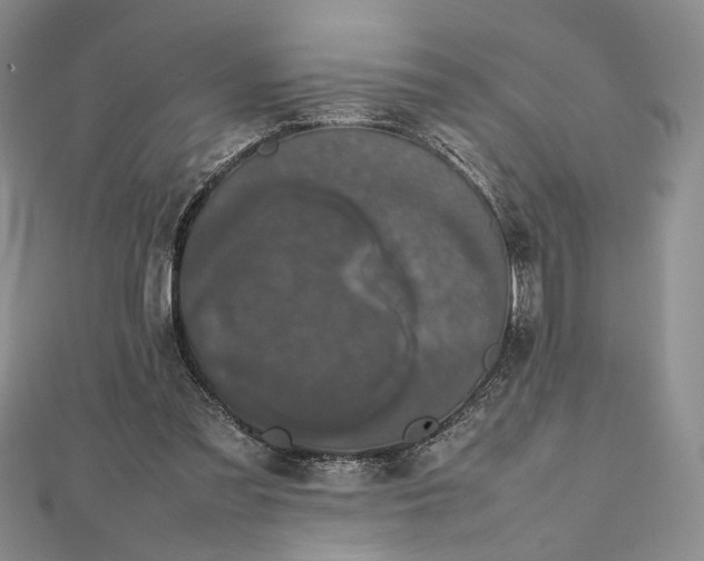 X0000112470301200908311355