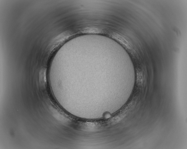 X0000112470302200908311355