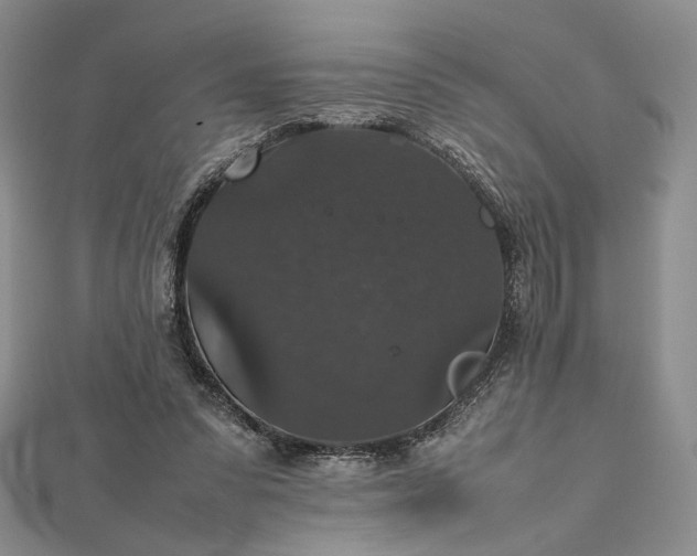 X0000112470303200908311355