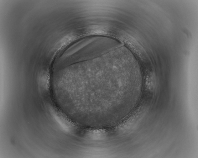 X0000112470304200908311355