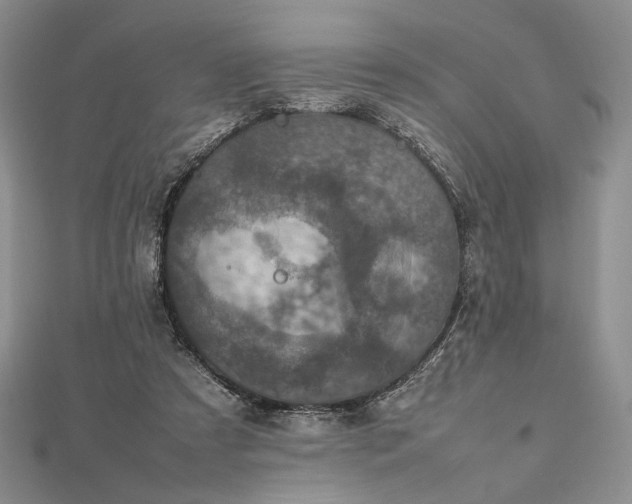 X0000112470305200908311355