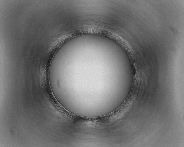 X0000112470306200908311355