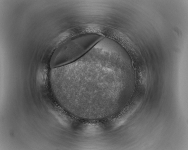 X0000112470308200908311355