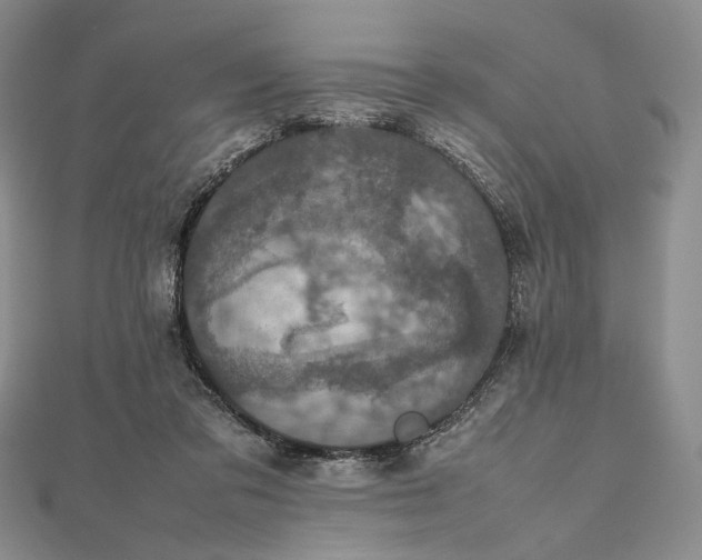 X0000112470309200908311355