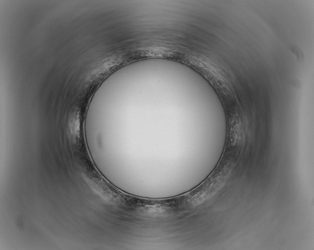 X0000112470310200908311355