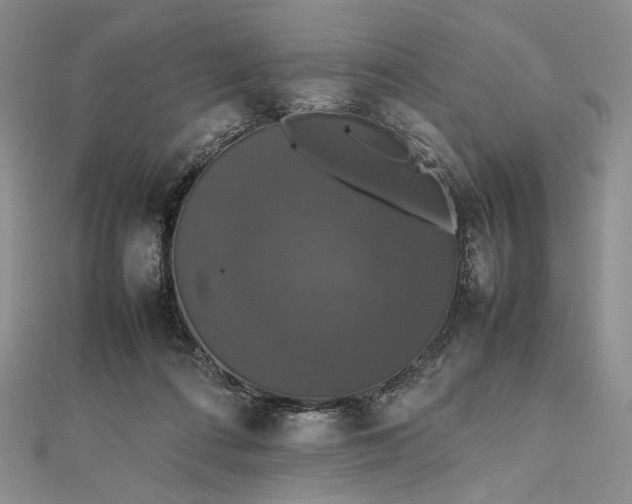 X0000112470312200908311355