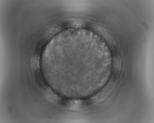 X0000112470313200908311355