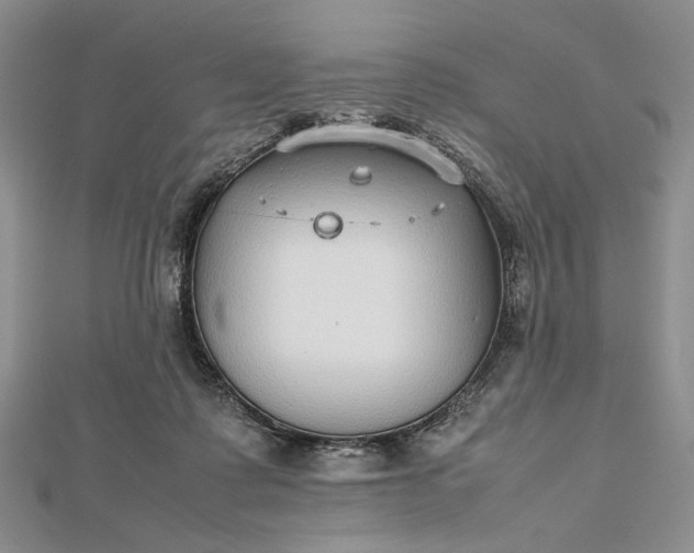 X0000112470315200908311355