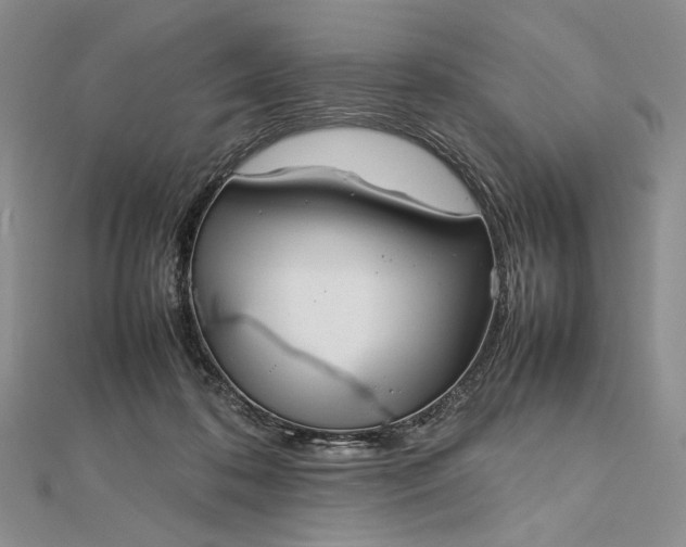 X0000112470316200908311355