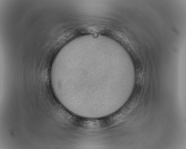 X0000112470317200908311355