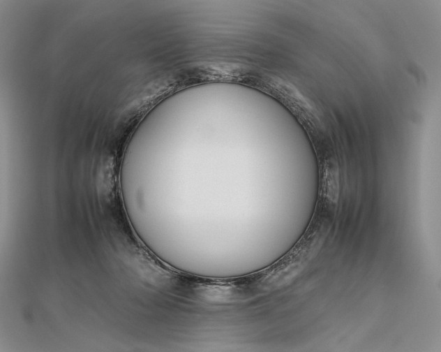 X0000112470318200908311355