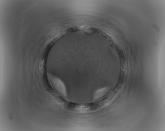 X0000112470319200908311355