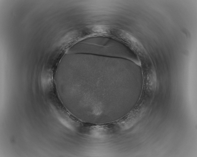 X0000112470320200908311355