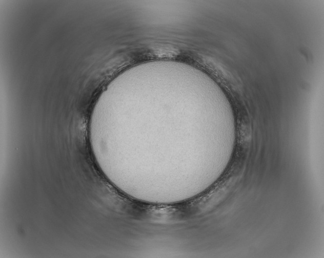 X0000112470321200908311355