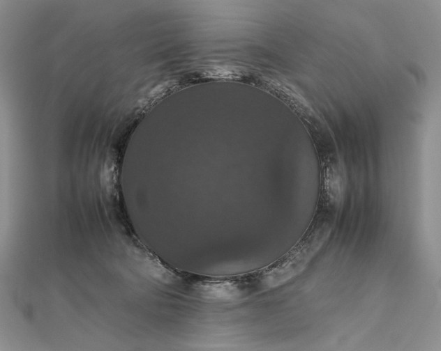 X0000112470322200908311355