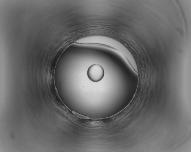 X0000112470324200908311355