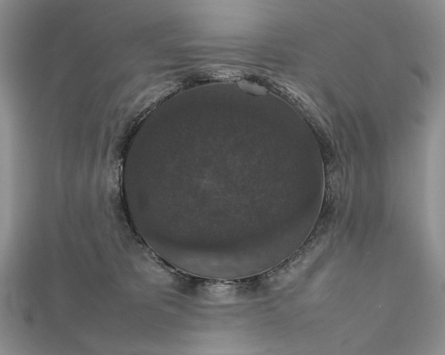 X0000112470325200908311355