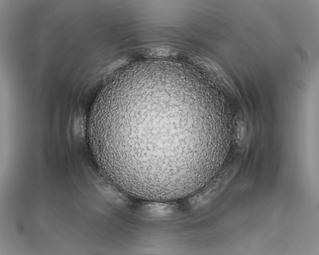 X0000112470326200908311355