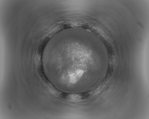 X0000112470327200908311355