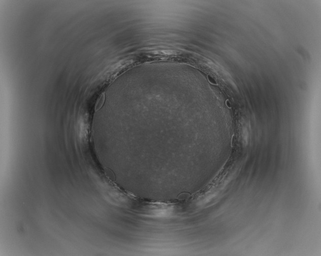 X0000112470328200908311355