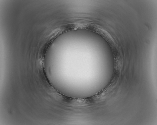 X0000112470329200908311355