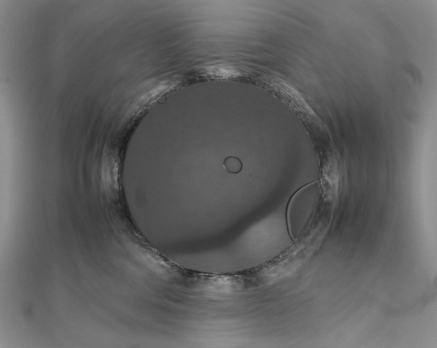 X0000112470330200908311355