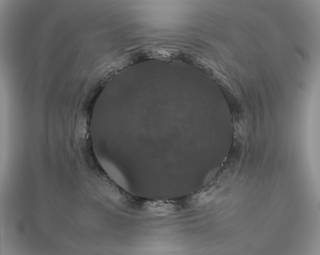 X0000112470331200908311355