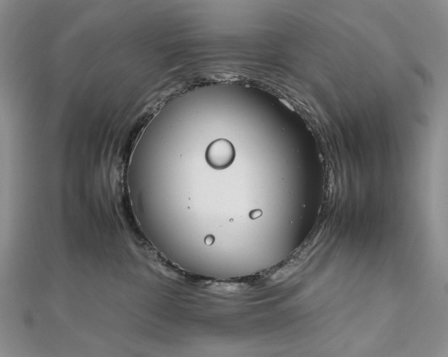 X0000112470332200908311355