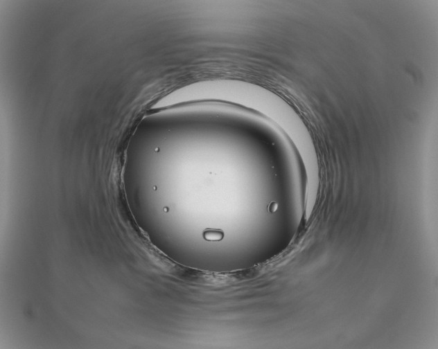 X0000112470333200908311355