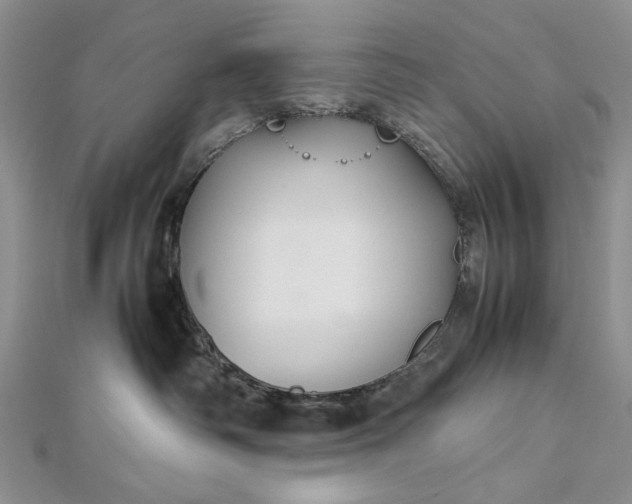 X0000112470334200908311355