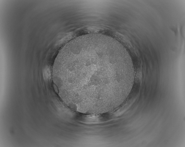 X0000112470335200908311355