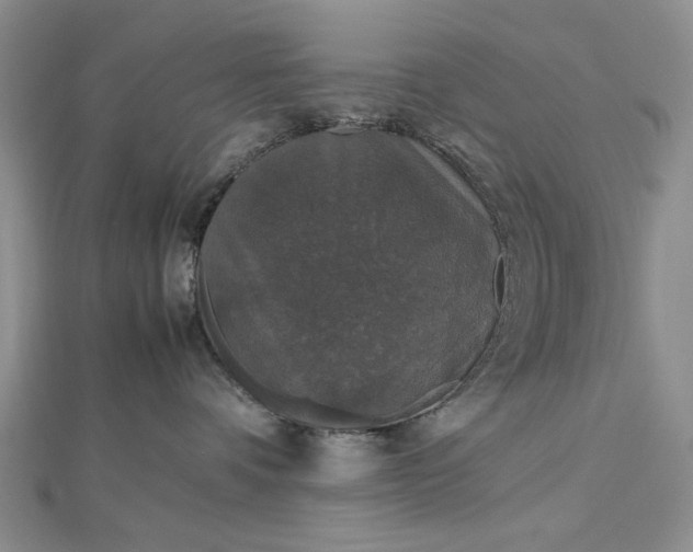 X0000112470336200908311355