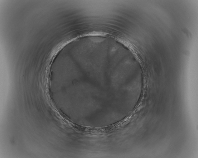 X0000112470337200908311354