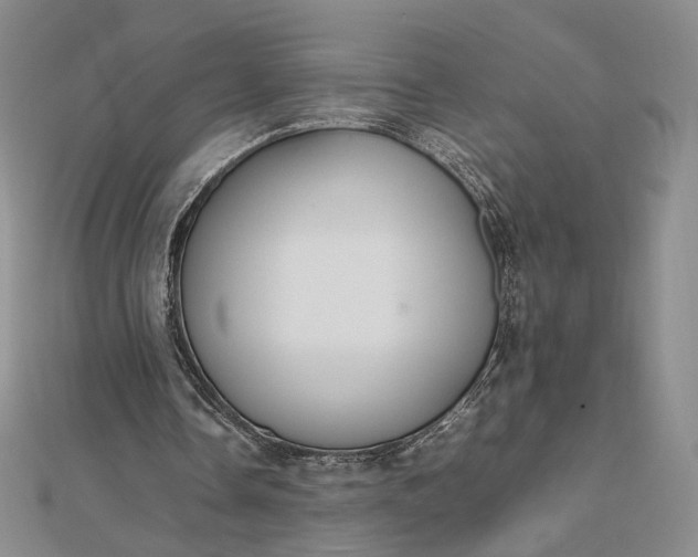 X0000112470338200908311354