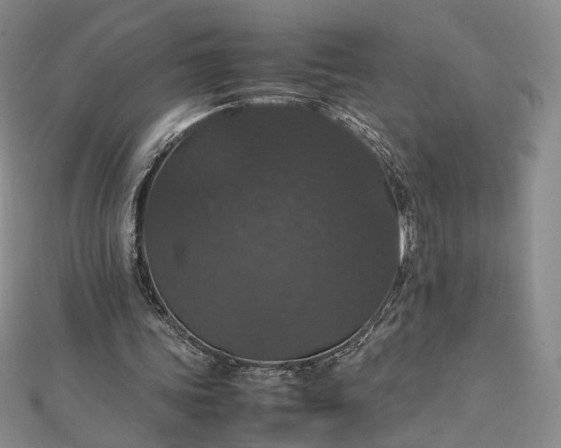 X0000112470339200908311354