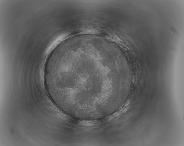 X0000112470341200908311354