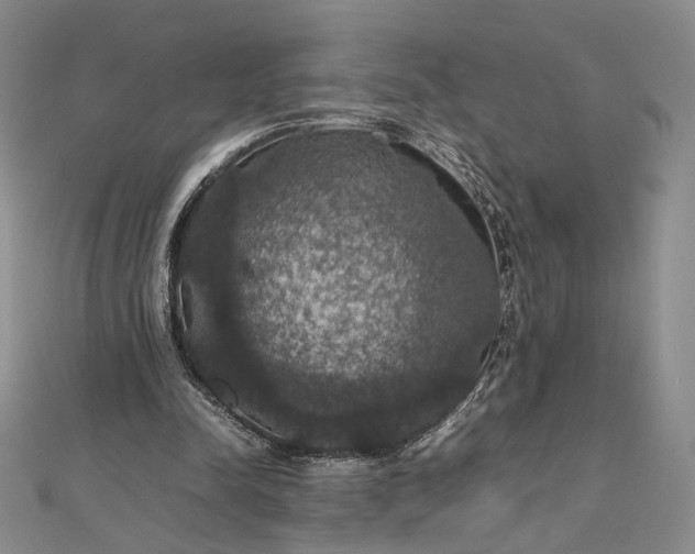 X0000112470342200908311354