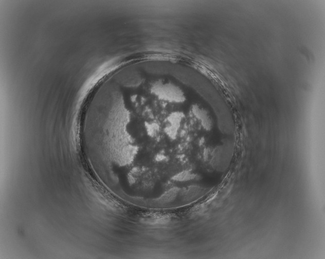 X0000112470343200908311354