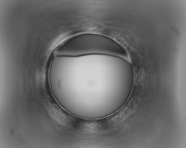 X0000112470344200908311354