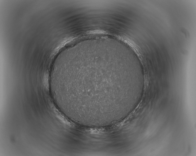 X0000112470345200908311354